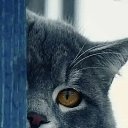 ���� ������, �������� - ��������� 6 ��� 2026 � ������ ������ ��������