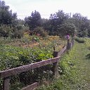 ���� ���������, �������� - ��������� 22 ������� 2025 � ������ �����