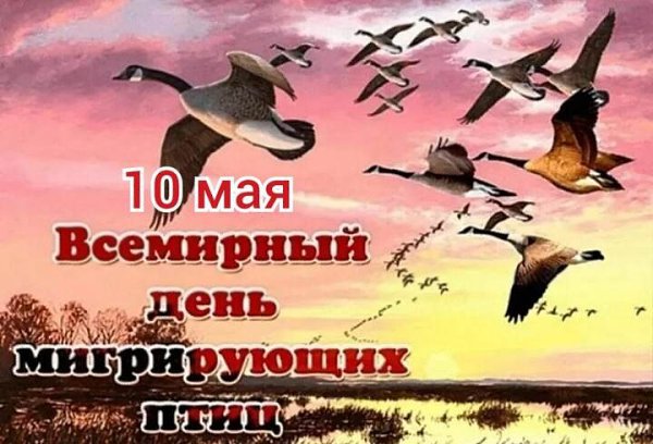 Именины: Анастасия, Семен, Павел, Иларион, Сергей, Георгий, Мария - 7