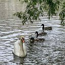���� ������� ����������, ������ - ��������� 2 ���� 2026 � ������ ������ ��������