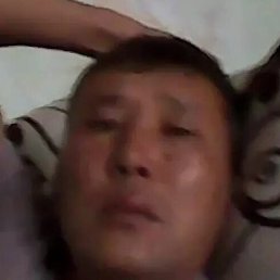 ����, �������, 52 ����