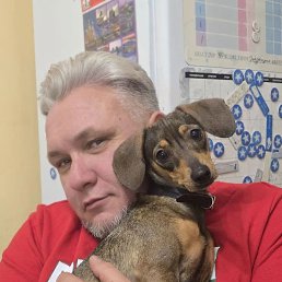 �����, 45 ���, ����