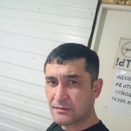 , 39, 