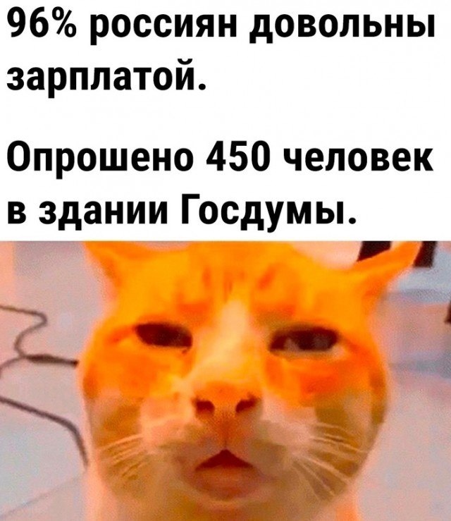 �������� - 24 ������ 2023 � 11:25