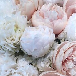 �����, ����������, 48 ���