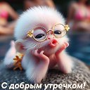 ���� ������, ������, 37 ��� - ��������� 10 ������� 2026 � ������ ���� ����������