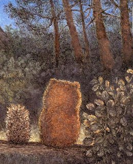 �����������