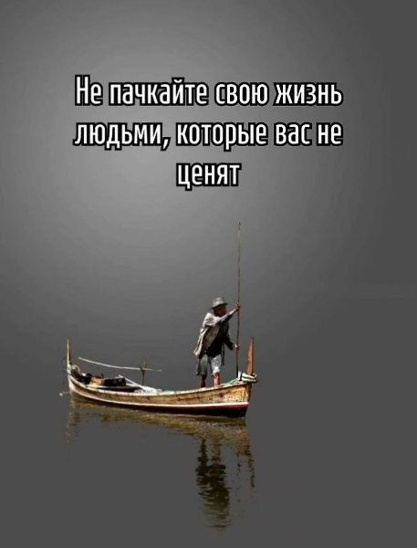    ... - 8