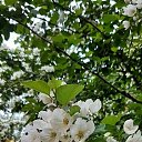 ���� ��������, ������������, 60 ��� - ��������� 16 ����� 2026