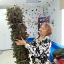 ���� ������, ��������, 75 ��� - ��������� 3 ��� 2026 � ������ �� �������