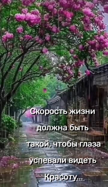 �������� ������ - 27 ������ 2026 � 18:01