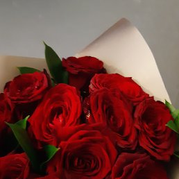 ���� �����, �����-���������, 62 ���� - ��������� 2 ������� 2023