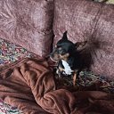 ���� �������, ������, 48 ��� - ��������� 23 ������ 2023