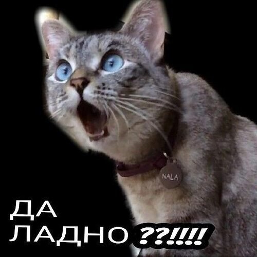   - 8  2025  12:43