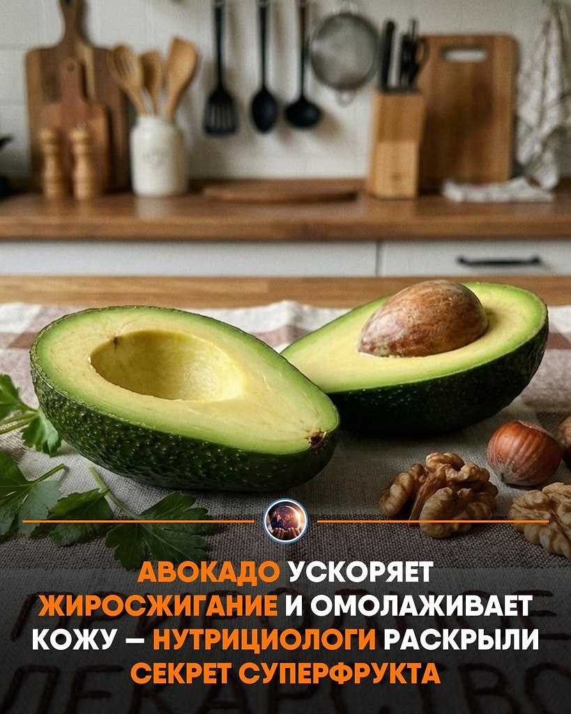 ��p���o�o�� �a���a�� a�o�a�o �a��pa����� ��e�apc��o�. �o �o�e���e ��p� � ��e��a��a �c�op��� o��e� ...