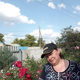 , 51, 