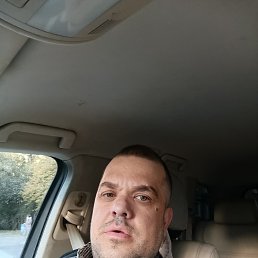 ����������, 40 ���, �������