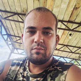 , 29, 