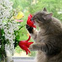 ���� ���, ������ - ��������� 18 ��� 2025 � ������ ������ ��������