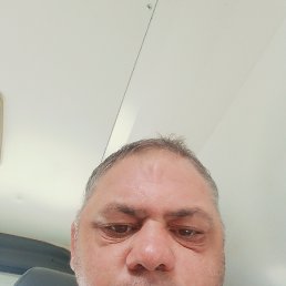  , 41, 