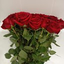 ���� ������, ���������, 62 ���� - ��������� 8 ������ 2026 � ������ ���� ����������