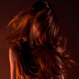 �������, ������, 41 ���