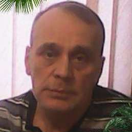 ������, �����������, 65 ���