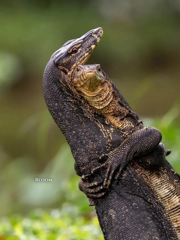 ac opca ce oo o ppo 2025  o acoa oe a  aa ... - 8