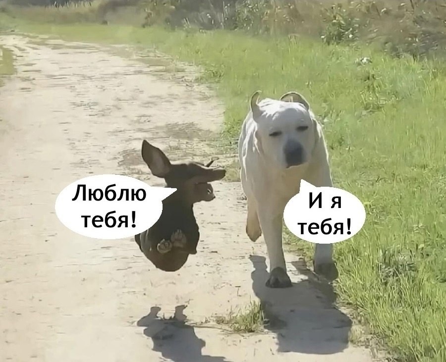   - 6  2025  14:09 - 6