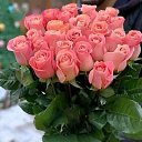 ���� �����, ������, 48 ��� - ��������� 26 ������� 2024 � ������ ���� ����������