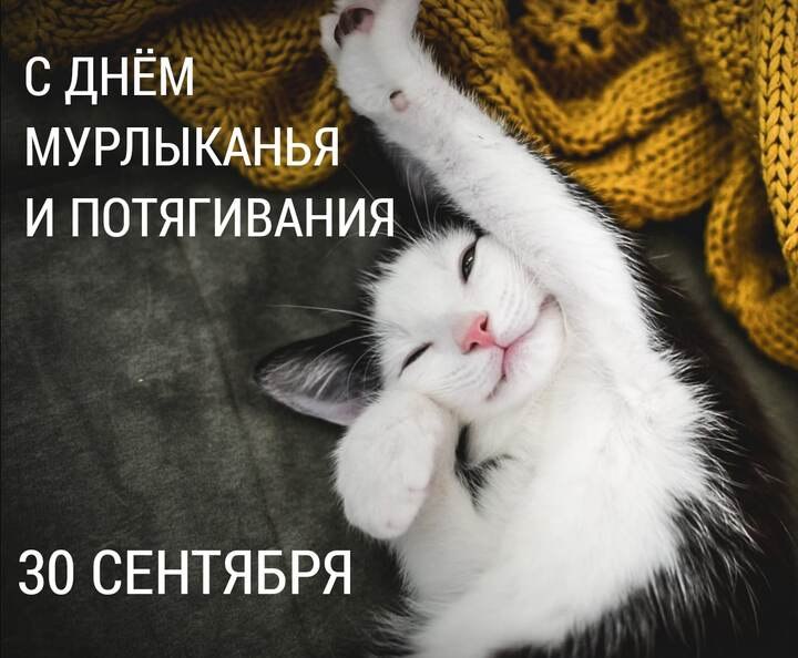   ,    . - 29  2025  22:11 - 2