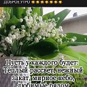 ���� ������, ���, 49 ��� - ��������� 9 ������ 2024 � ������ ���� ����������