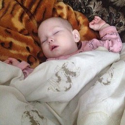 ���, �����-���������, 23 ����