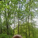 ���� ������, ��������, 52 ���� - ��������� 4 ���� 2025 � ������ ���� ����������