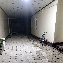 ������, �����, 37 ���