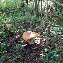 ���� ������, ������, 49 ��� - ��������� 3 �������� 2025 � ������ ������ ��������