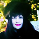 ���� ����, ������, 31 ��� - ��������� 27 ���� 2026 � ������ ���� ����������