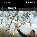 ���� �����, �����������, 40 ��� - ��������� 5 ������ 2026