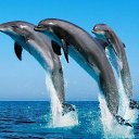 ���� ������� ������, �����, 60 ��� - ��������� 10 ������� 2025