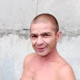 , , 41 