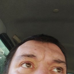 ���������, ���, 40 ���