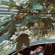 ������, 28 ���, ����