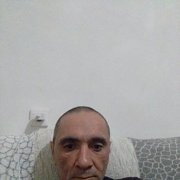 , 40, 