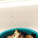 ���� ������, ����������, 60 ��� - ��������� 19 ������ 2026 � ������ ���� ����������