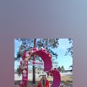 ���� �����, ������, 51 ��� - ��������� 13 ���� 2024 � ������ ���� ����������