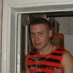 ����, ������, 40 ���