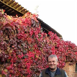 ���� ������, ����������, 58 ��� - ��������� 29 ������� 2025