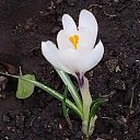 ���� ���, �������, 33 ���� - ��������� 3 ������ 2026 � ������ ������ ��������