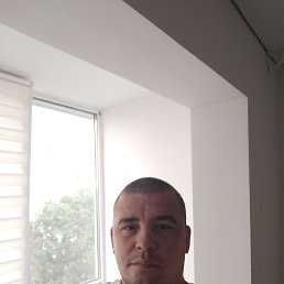 �����, ������, 41 ���