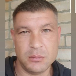 �����, ������, 44 ����